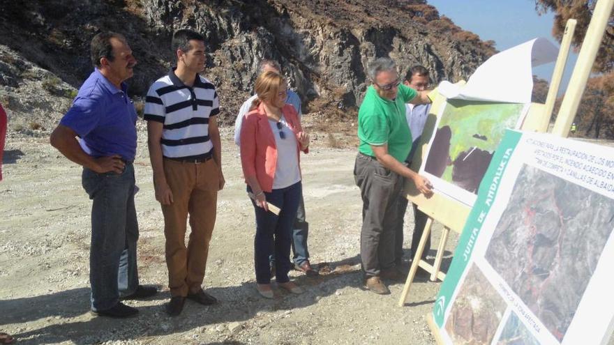 La Junta inicia los trabajos de restauración ambiental por el incendio de Cómpeta