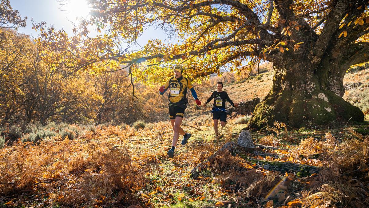 El Otoño Mágico del Valle del Ambroz acoge pruebas deportivas al aire libre.