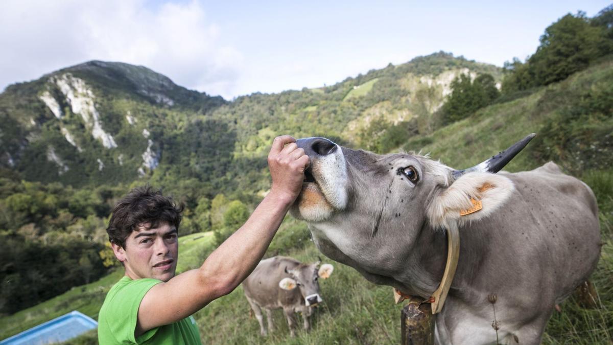 Jose Luis Alonso, el pastor más joven de los Picos de Europa