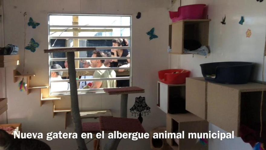 Nueva gatera en el albergue municipal de animales de Torrevieja