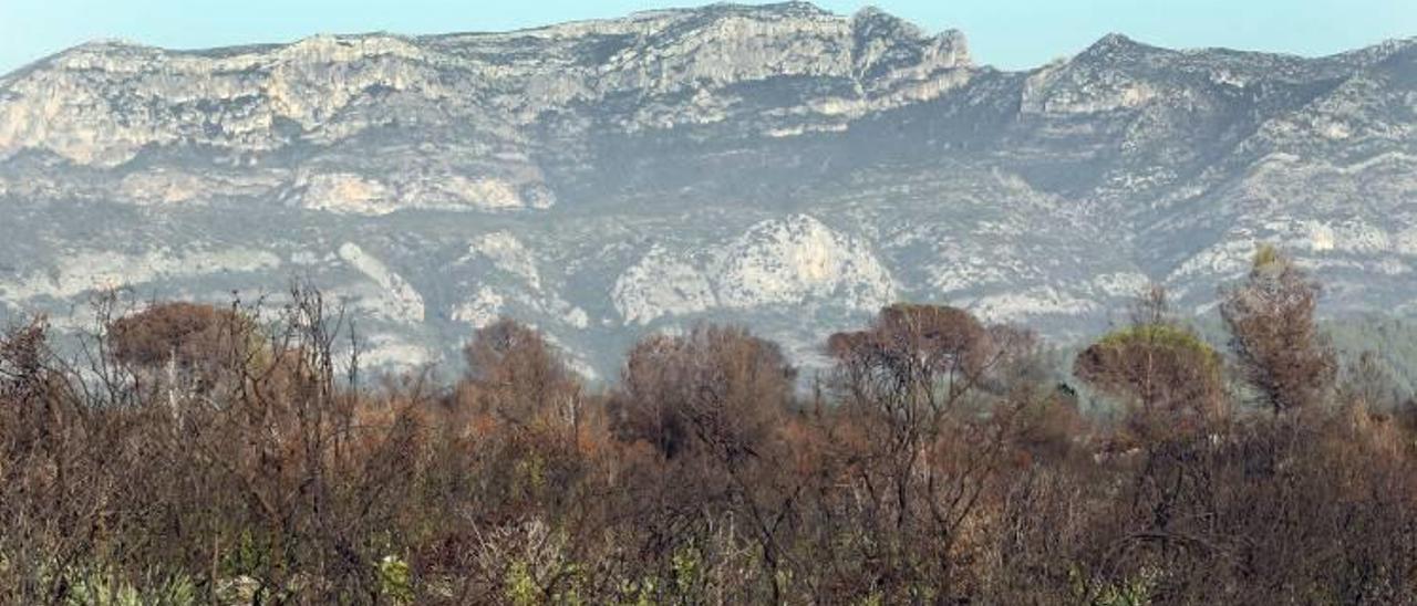 Los incendios de 2016 multiplican por siete la superficie quemada en un lustro