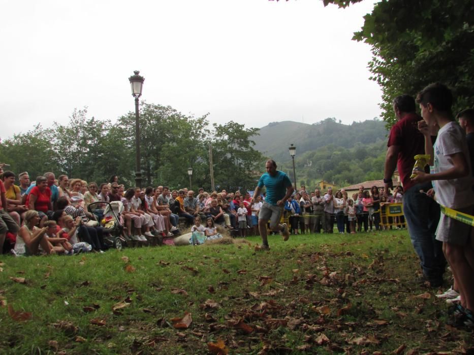 Fiestas del Segador de Benia de Onís