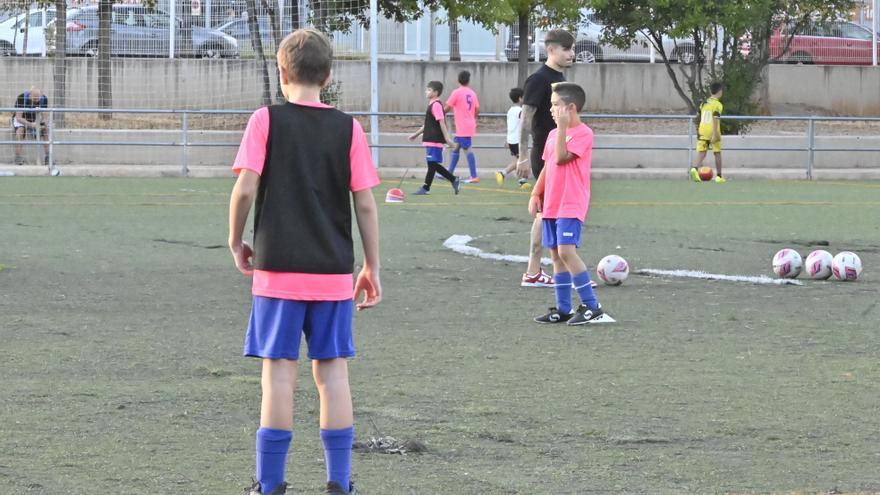 Galería | Las impactantes imágenes de la precariedad del campo de fútbol Gran Vía de Castelló