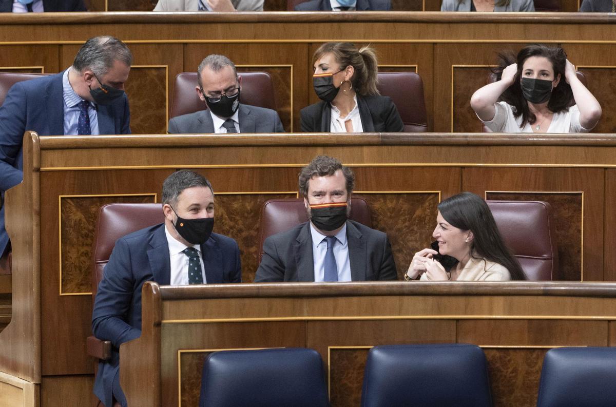 La bancada de Vox en el Congreso.