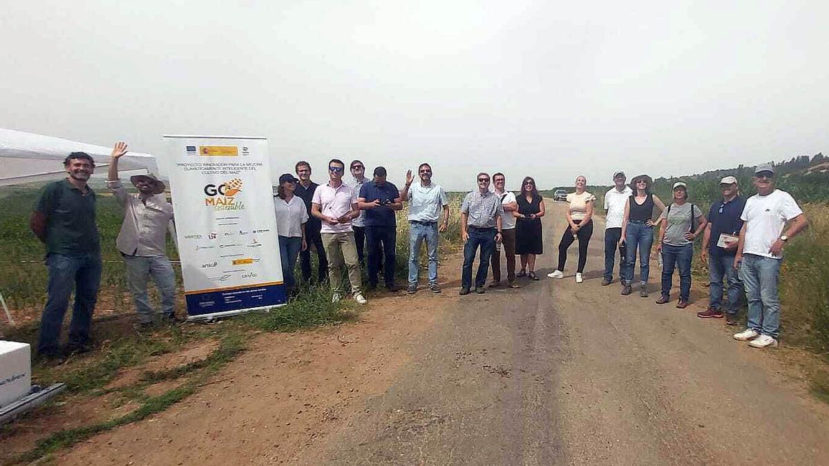 Proyecto de mejora climática inteligente, en el que participa el Instituto Tecnológico Agrario de Castilla y León (Itacyl).