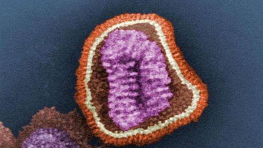 Un nuevo fármaco contra la gripe detiene el contagio entre células