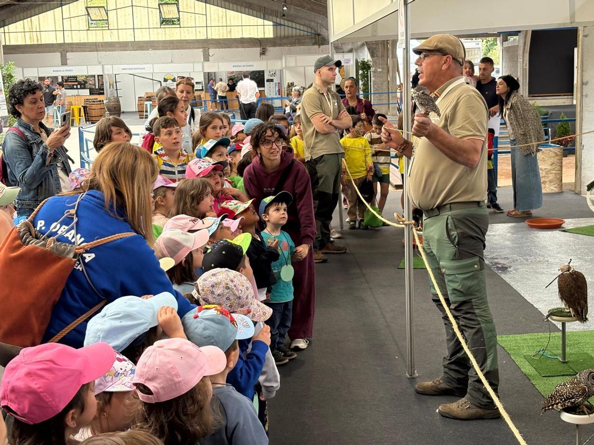 Narcenatur abre sus puertas con la presentación del “oso rubio” y actividades para escolares