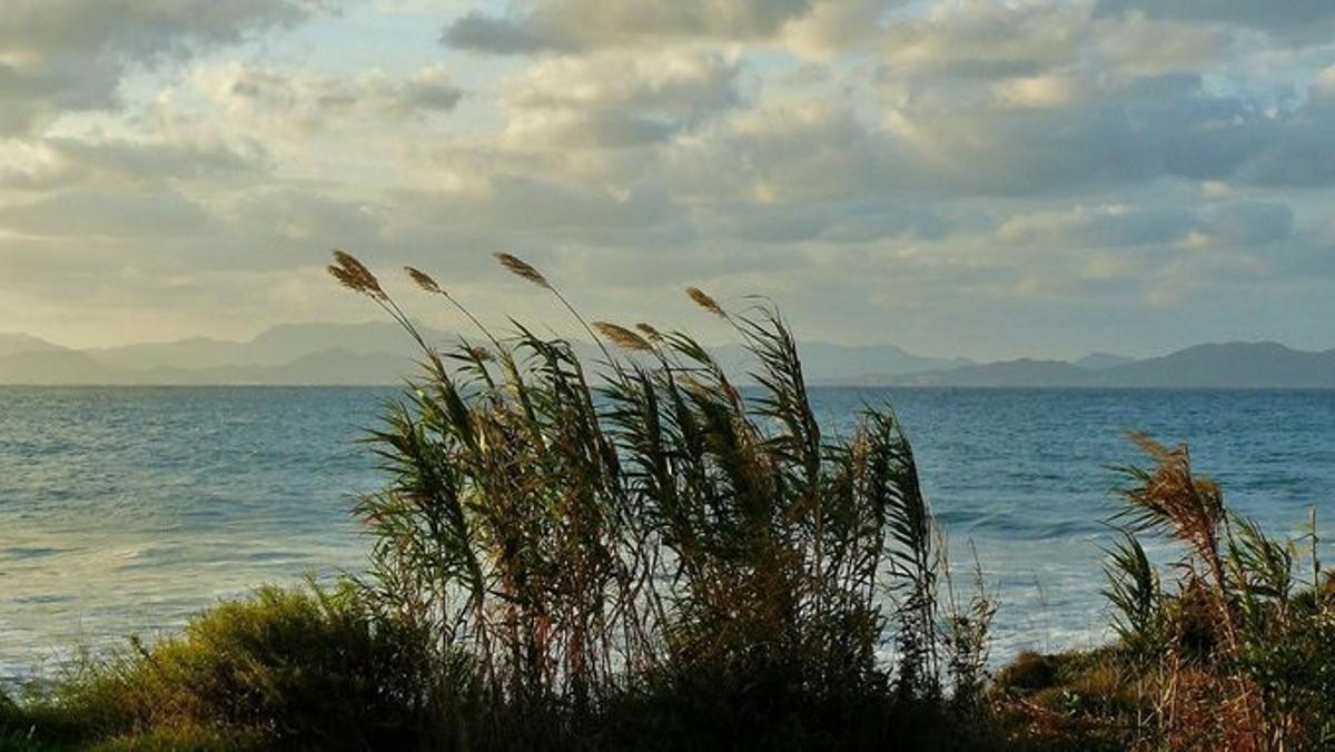 Il forte vento arriva questo mercoledì alle Isole Canarie.