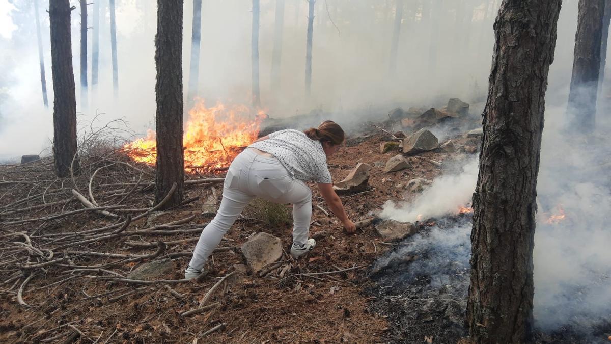Incendio en Sierra de la Culebra: vecinos de Villanueva de Valrojo tratan de controlar el fuego que se ha reproducido un pinar.
