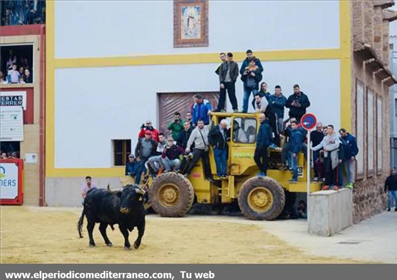 Fiestas de la Vall d'Uixó