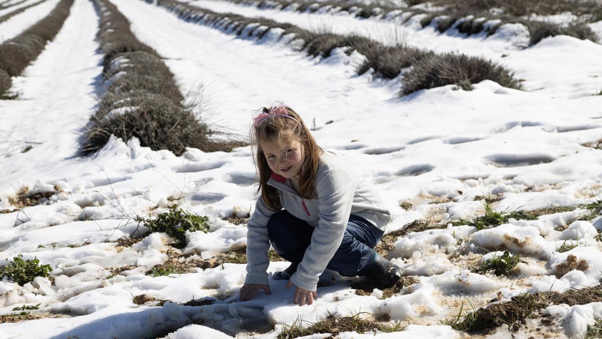 Nieve en Murcia ¿Aguantará la nieve en el Noroeste este fin de semana?