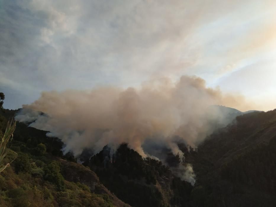 Perspectivas del incendio de Valleseco