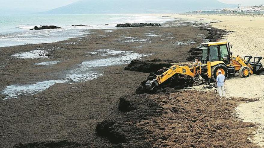 Crisis ambiental en el Estrecho