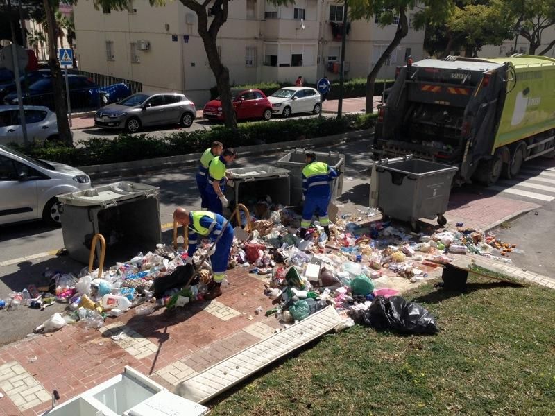 Recogida de basura en La Palmilla.