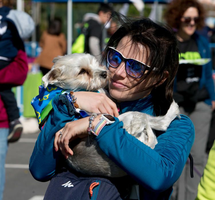 Can We Run: Gran carrera de perros para la concienciación animal