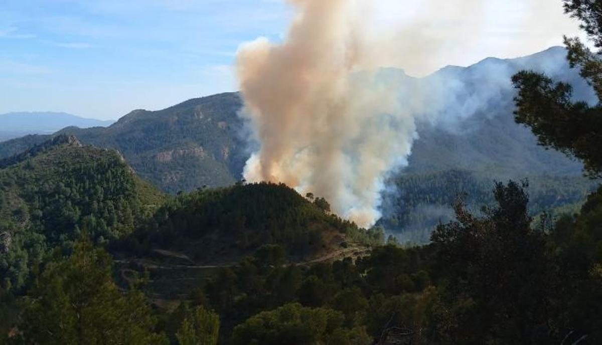 Un incendi afecta cinc hectàrees dels municipis Xerta i Paüls del Baix Ebre (Tarragona)