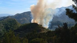 Un incendi afecta cinc hectàrees dels municipis Xerta i Paüls del Baix Ebre (Tarragona)