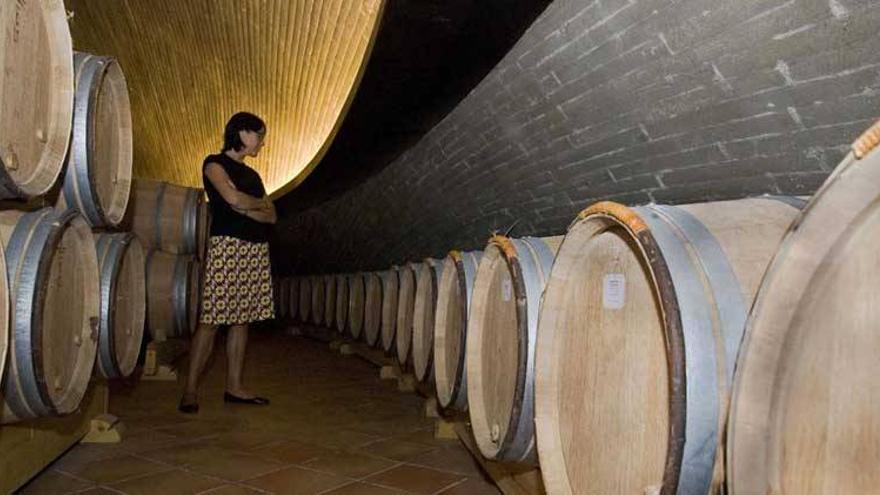 El precio del vino extremeño cae un 35% pese a su &quot;excelente&quot; calidad