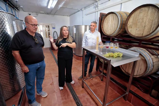 Visita a El Rebusco Bodegas para conocer el desarrollo de la vendimia