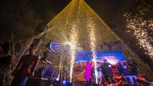 Imagen del árbol de Navidad más alto de España, instalado en la localidad cántabra de Cartes.