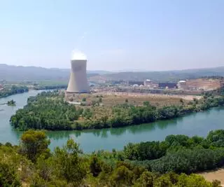 Endesa sigue a Iberdrola y pelea con Hacienda para cobrar 180 millones de sus centrales nucleares