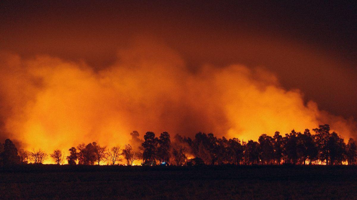 el sur de Europa entra en una nueva fase de peligro por la crudeza de los incendios forestales