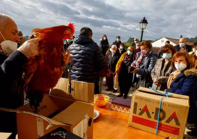 Las gallinas y los mejores callos que dan lustre a las romerías de San Amaro en O Salnés