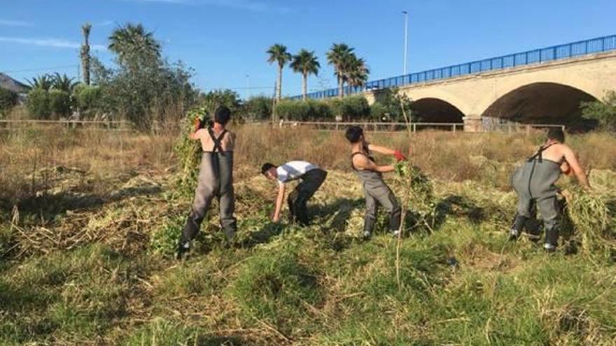 Una «Torre de Babel» solidaria