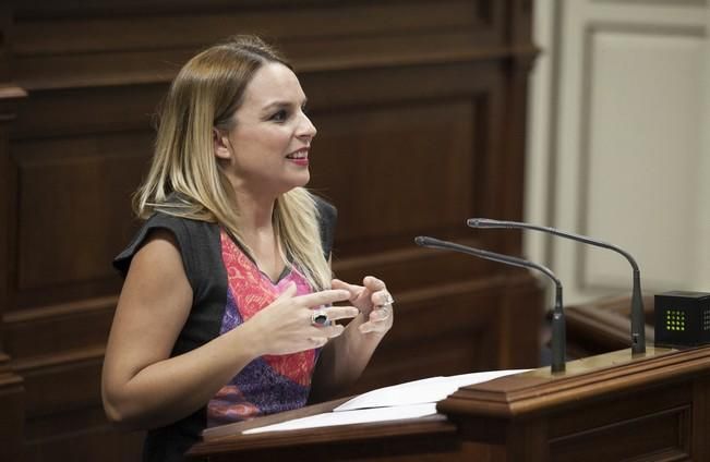 19/01/2017.CANARIAS.Pleno del Parlamento de Canarias..Fotos: Carsten W. Lauritsen