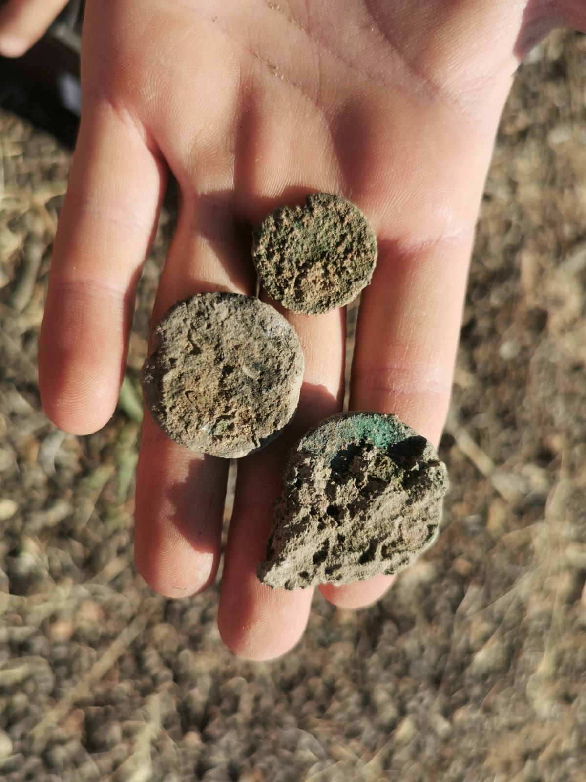 Hallan monedas, agujas y un dado en las excavaciones de Pollentia