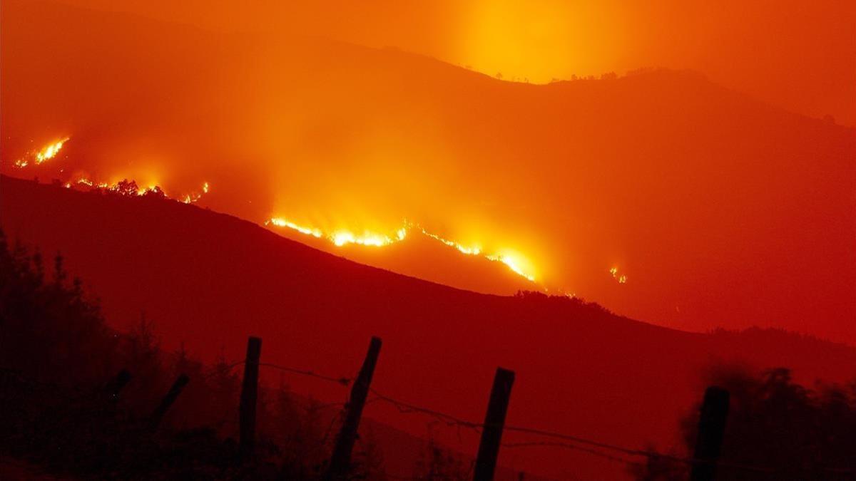 Incendio forestal en Galicia: zona de la Reserva Natural de los Ancares, en Lugo.