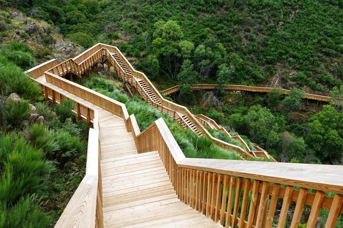 Passadiços do Mondego