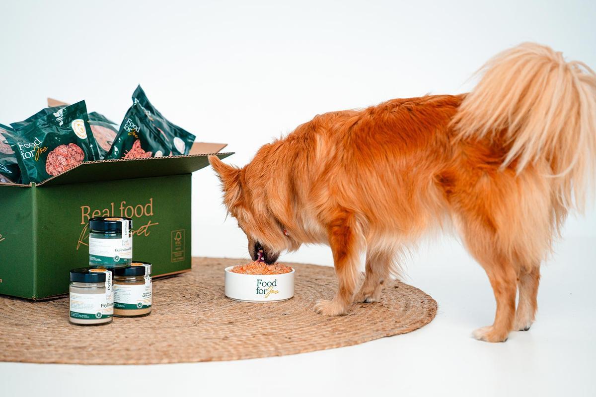 Menús naturales de Food for Joe