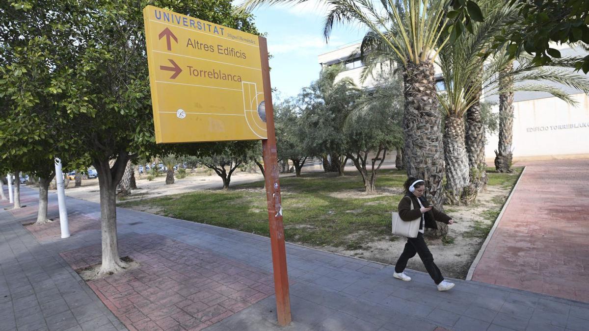 Los jardines del edificio Torreblanca se mejorarán también dentro de uno de los proyectos de obra