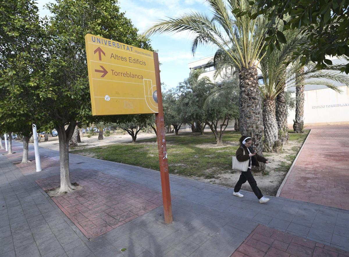 Los jardines del edificio Torreblanca se mejorarán también dentro de este proyecto de obra. | ÁXEL ÁLVAREZ