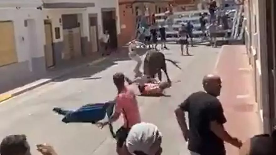 Aparatosa cogida en los bous al carrer de Puçol