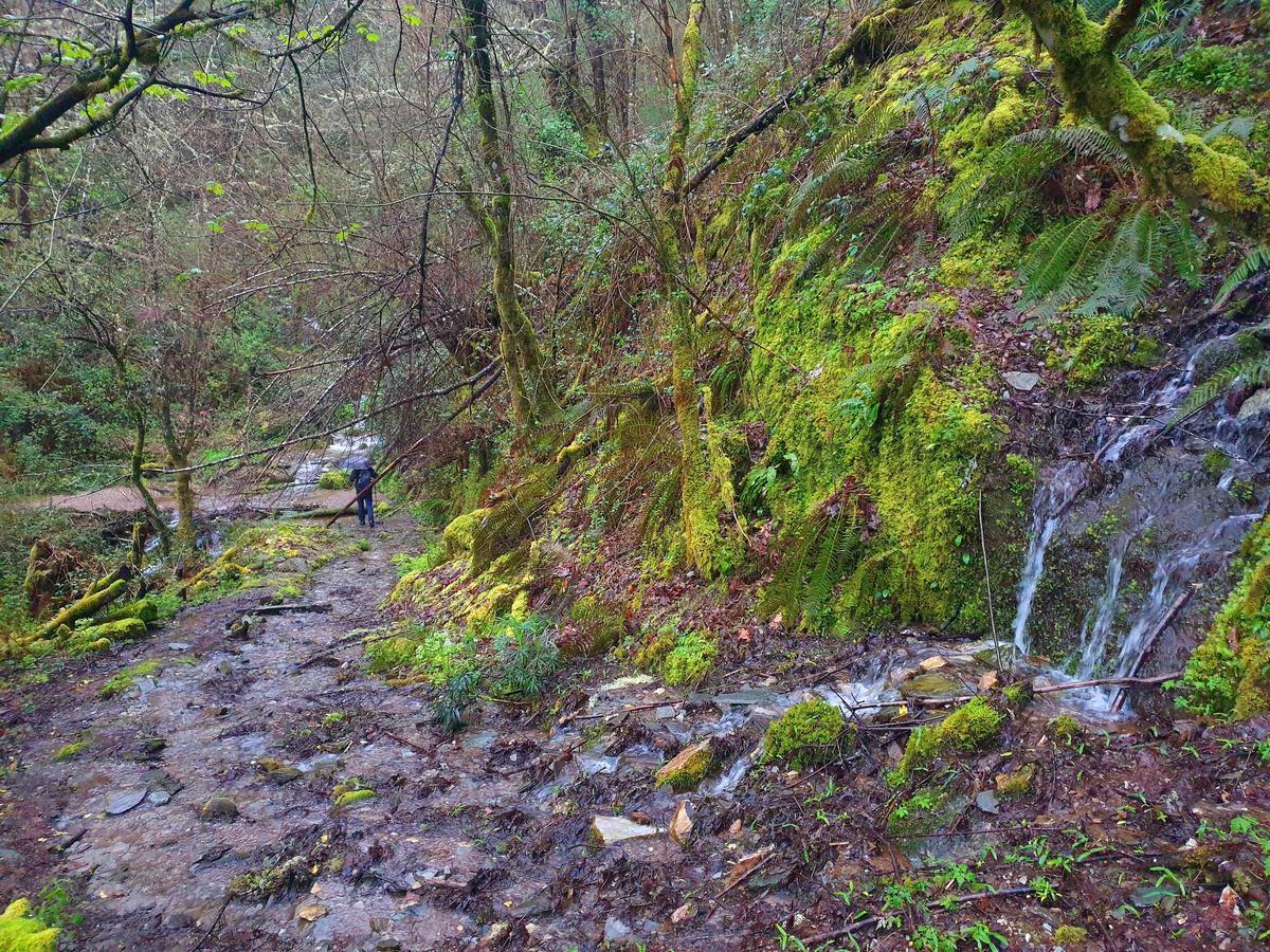 Folgoso do Courel/Caurel (Comarca de Quiroga, Sierra del Courel, Lugo). Ruta circular de Monte Cido, y Devesa da Rogueira
