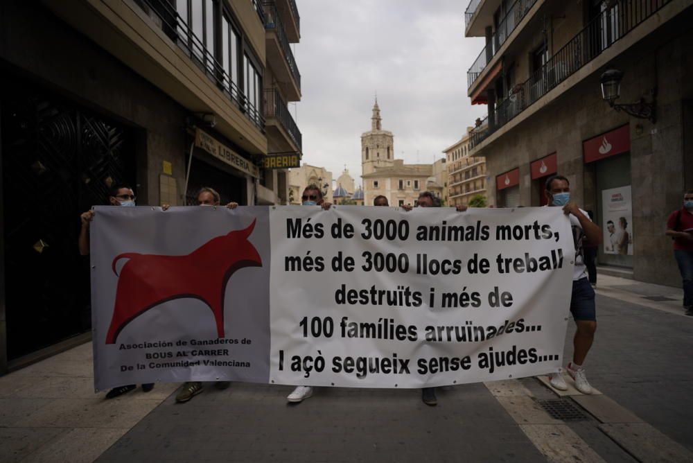 Protesta taurina y ganadera contra la falta de ayudas al sector en València