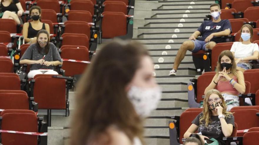 Estudiantes de la Facultad de Veterinaria de Córdoba, en una de sus clases en el campus de Rabanales.