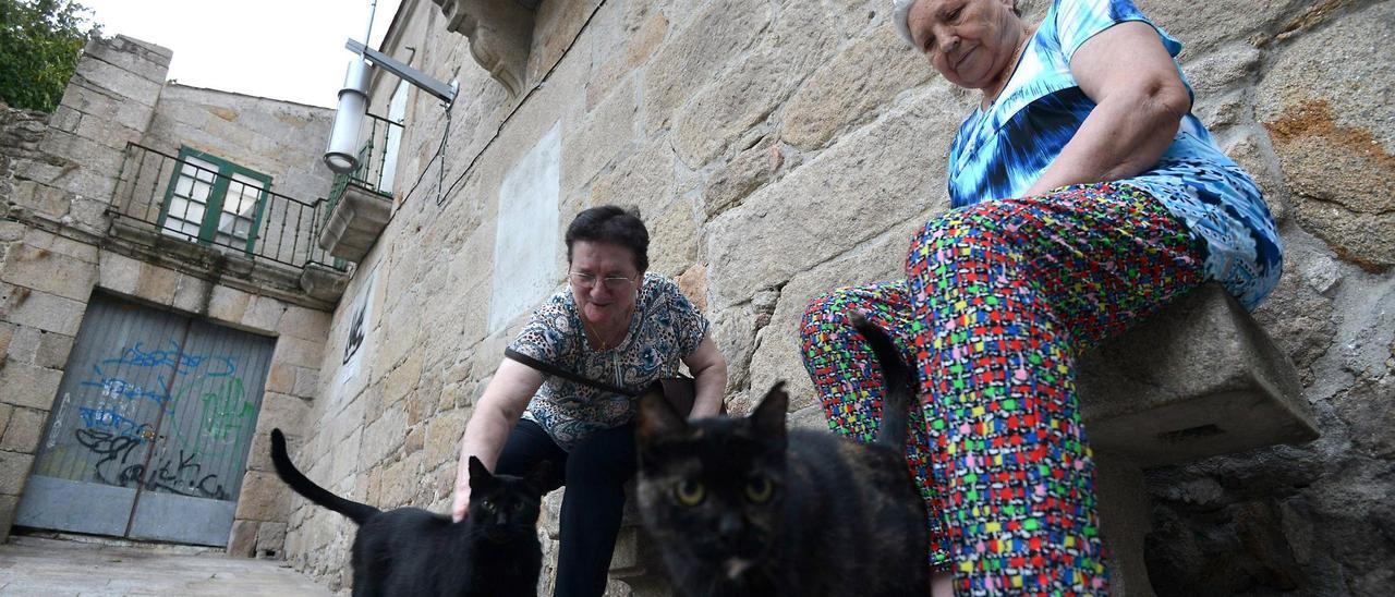 Dos mujeres cuidadoras de gatos en la Praza da Pedreira.