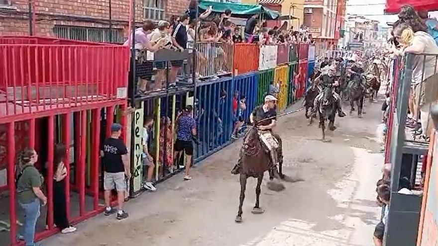 Vídeo: Caballos y bueyes toman las calles de Xilxes en el tradicional encierro campero