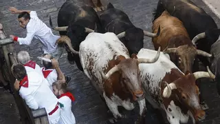 En directo | La velocidad de La Palmosilla, a examen en el séptimo encierro de los Sanfermines