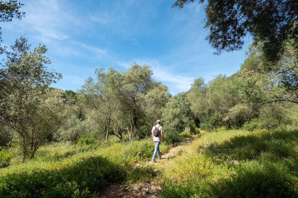 Die Parks in Palma de Mallorca sind wieder geöffnet