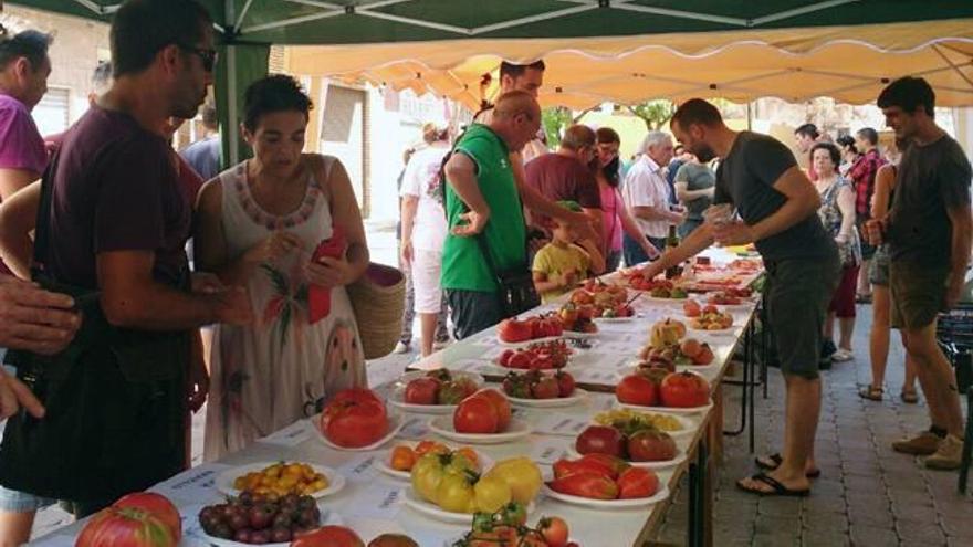 Segorbe, capital del tomate tradicional