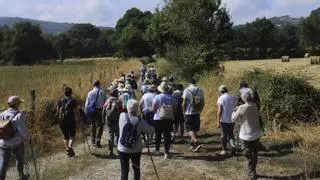 Recuperan un camiño  de arrieiros do Ribeiro polas Terras de Camba