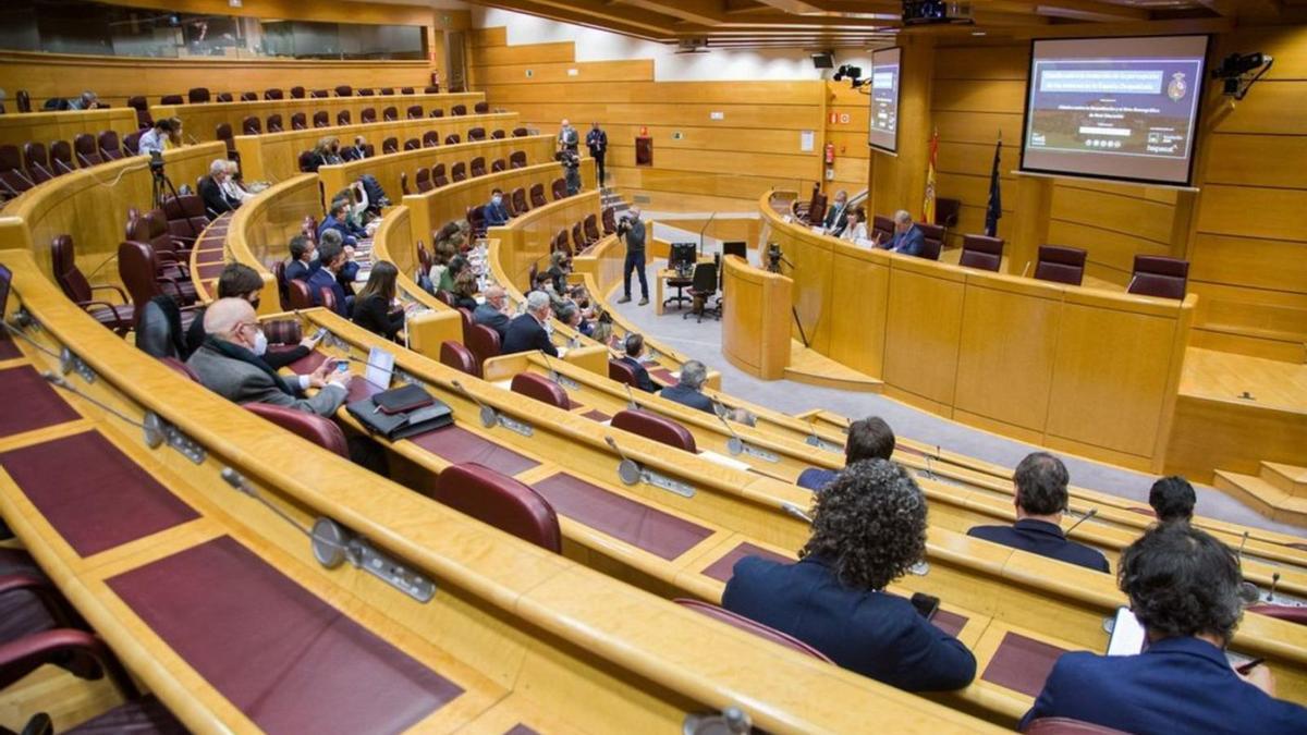 El Senado, durante la presentación del estudio. | S. E.