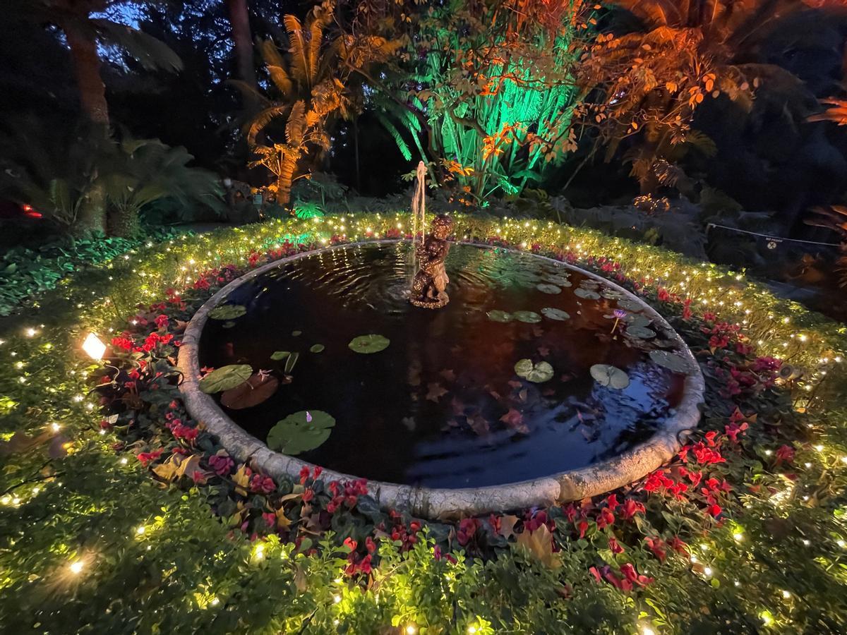 El Jardín Botánico Histórico La Concepción enciende sus luces de Navidad