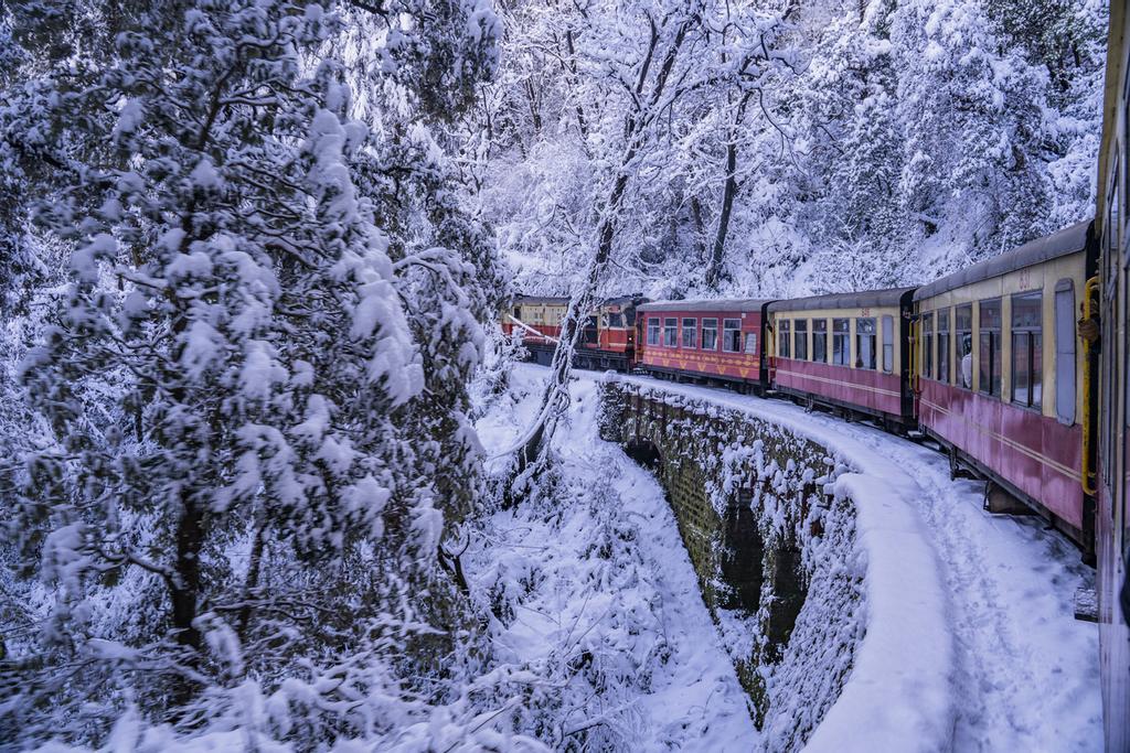Tren de los Himalayas de Nepal