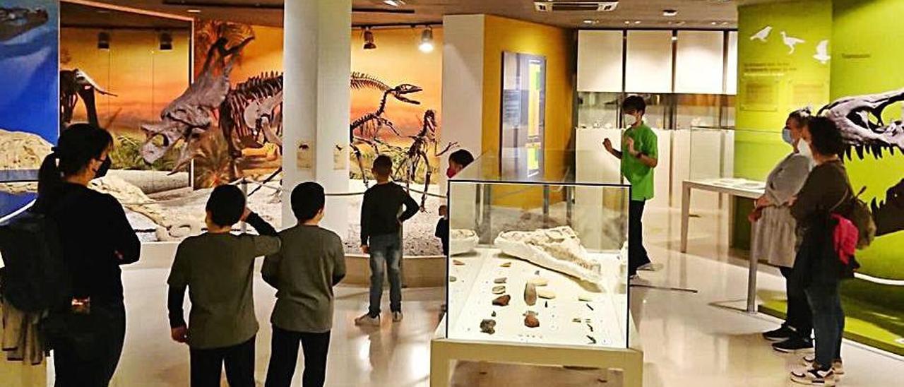 Visitas en el Museo Paleontológico de Elche.