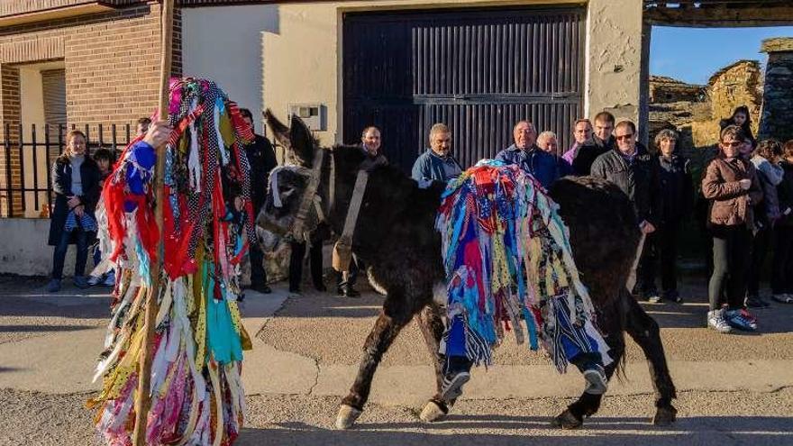 Los Cencerrones de Abejera.